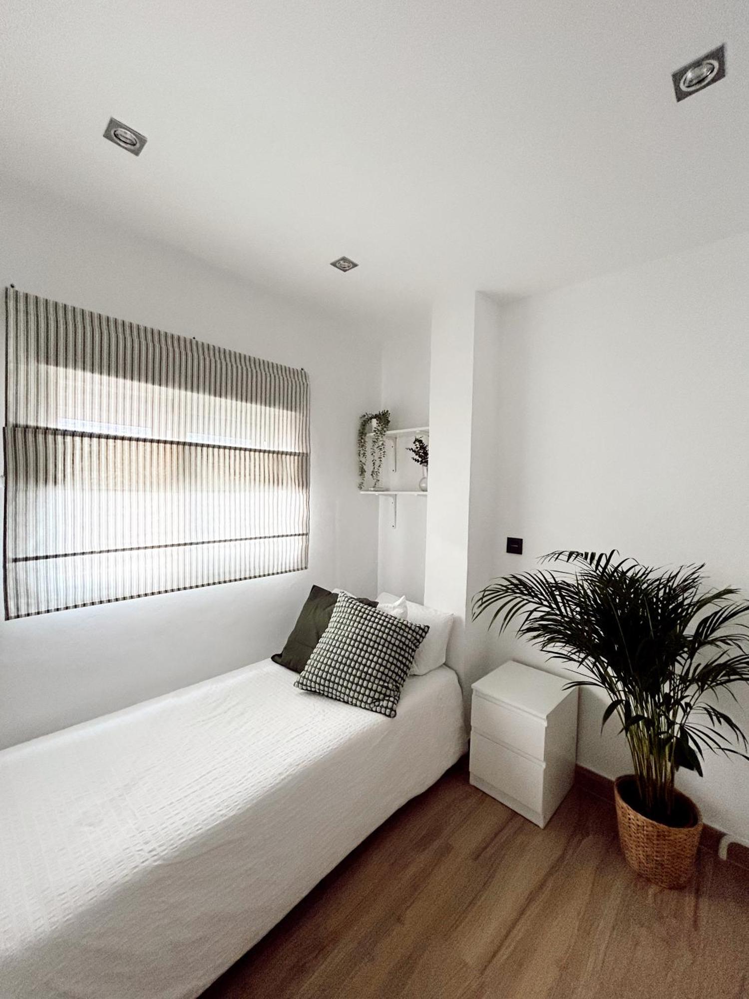 Cosy Trinidad Apartment Málaga Exterior foto